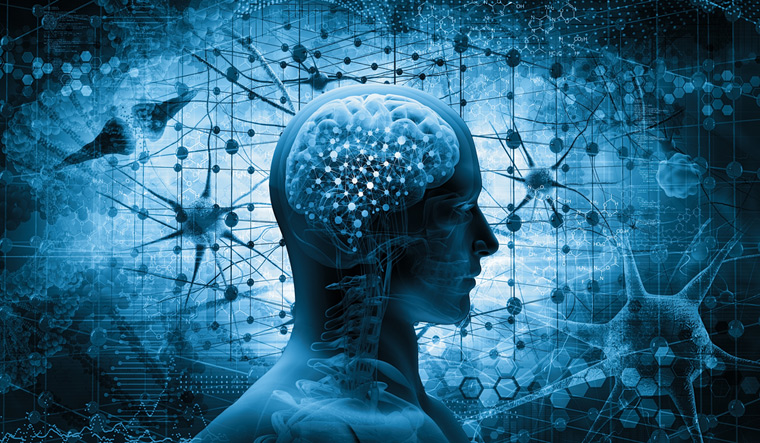 neuropeptydy